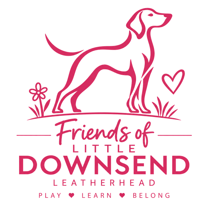 Friends of Little Downsend. Play, learn, belong.